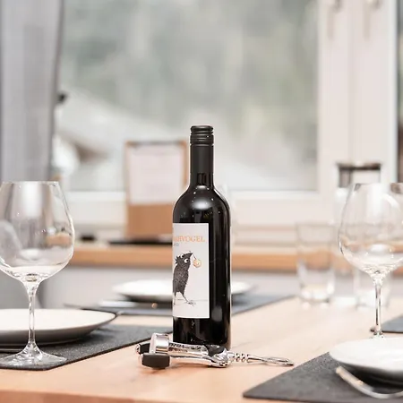 Bergnest Oetztal Hemerkogel *